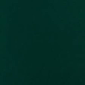 Meet your Posher, Audrey horan